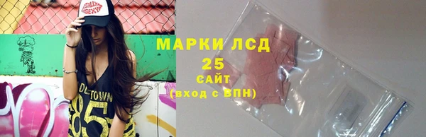 спиды Великий Новгород