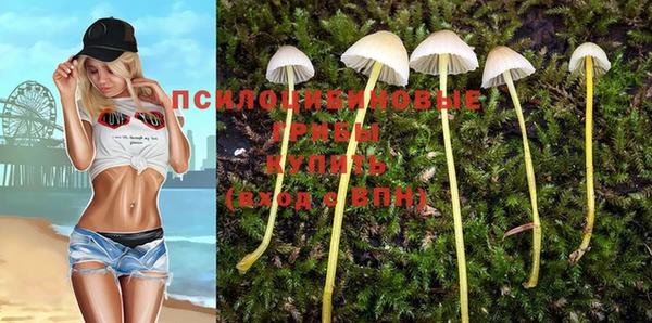 соль курить ск Нижневартовск