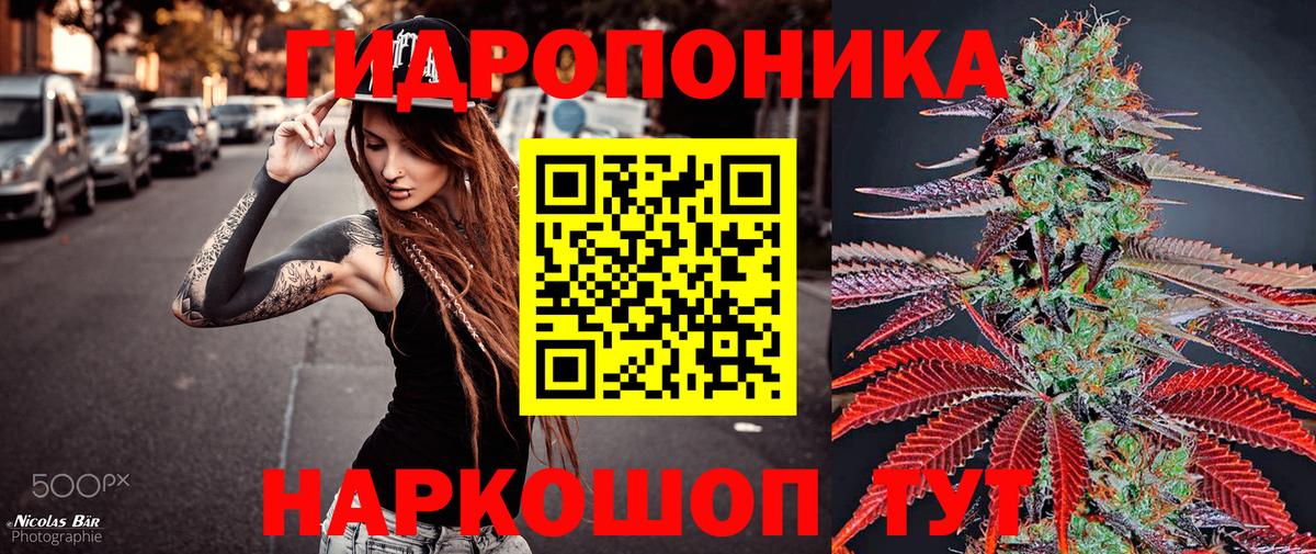 Шишки марихуана ГИДРОПОН  Бошки марихуана VHQ  Канабис индика  Ахтубинск  Вход с VPN 
